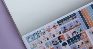 Do Little Diary handig baby dagboek