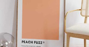 Peach Fuzz trendkleur 2024